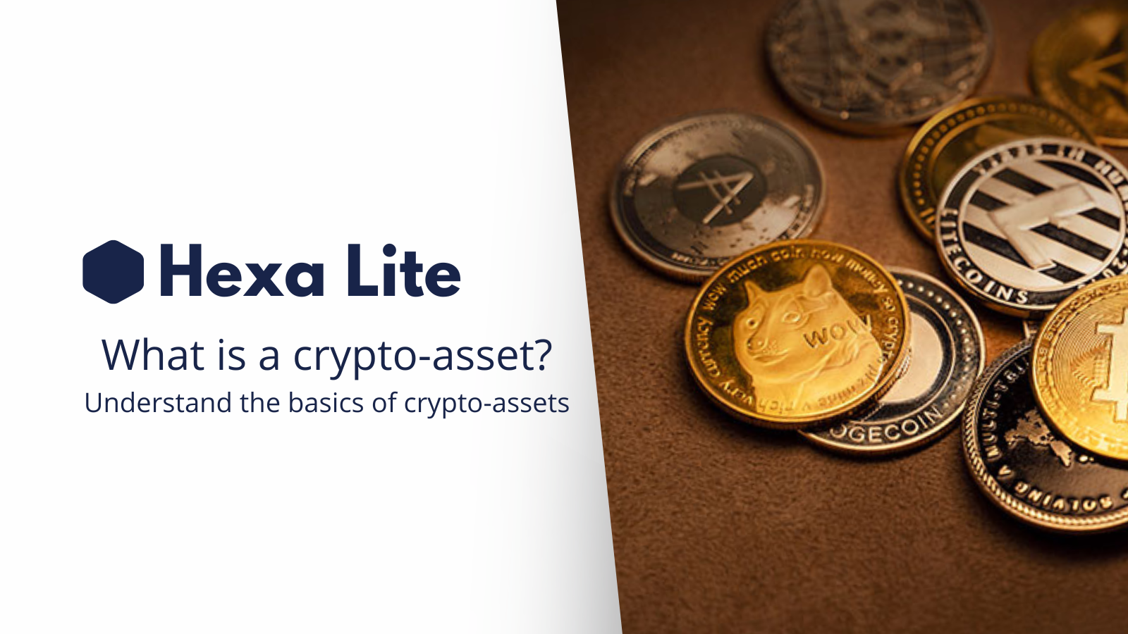 Learn what a crypto-asset is and how it works. Discover the different types of crypto-assets and how to invest in them.