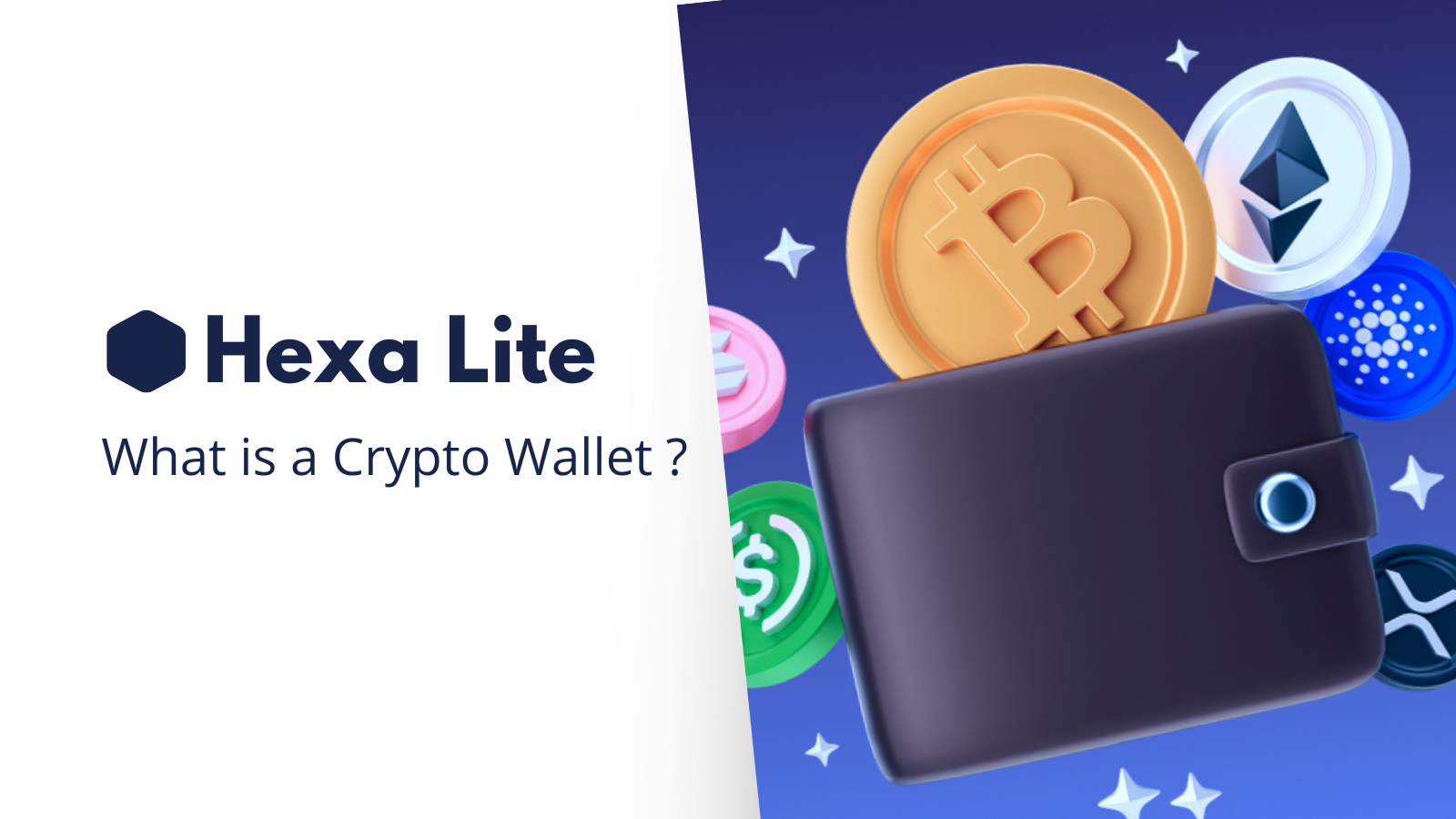 What is a Crypto Wallet for Beginners?